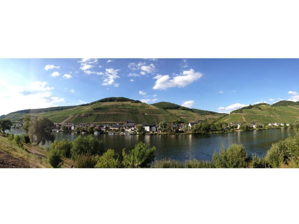 Ferienwohnung Am Moselufer Zell an der Mosel Exterior photo